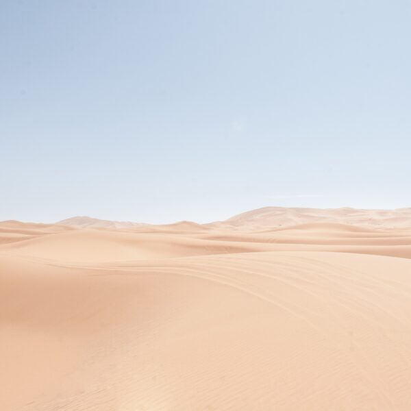 Hidden Beauty of the Dubai Desert by Desert safari Dubai