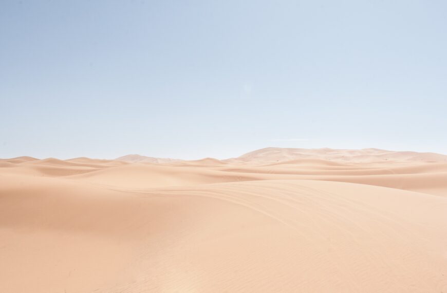 Hidden Beauty of the Dubai Desert by Desert safari Dubai